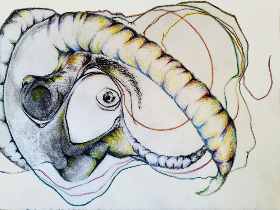 Graphic Surreal Insect Man [2024-09-15]