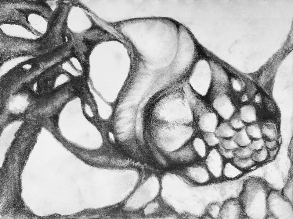 Prehistoric Acorn [2024-09-15]