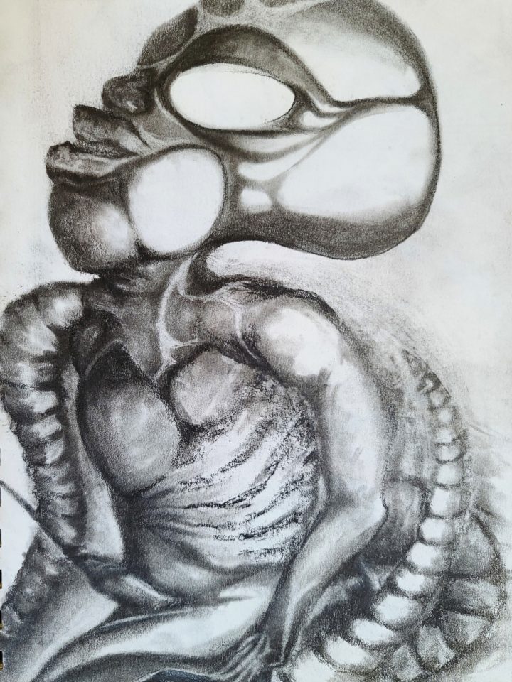 Alien Erection [2024-09-15]