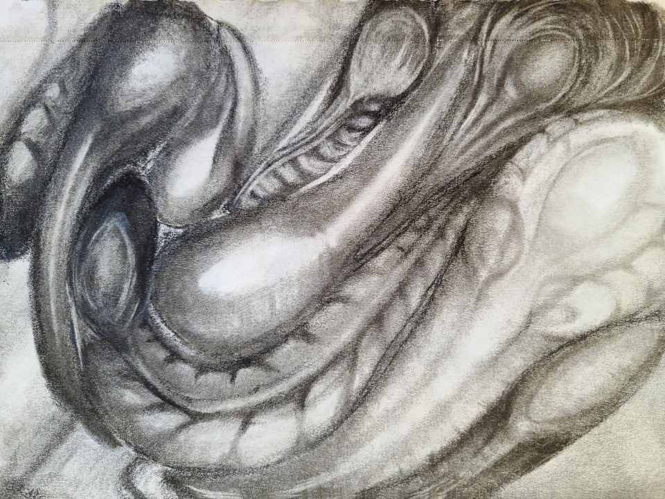 Alien Fossils [2024-09-15]