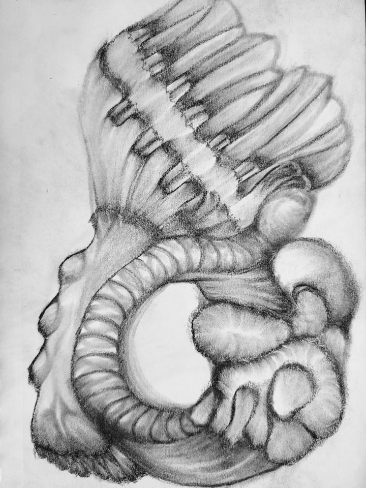 Chief Larva Neck [2024-09-15]