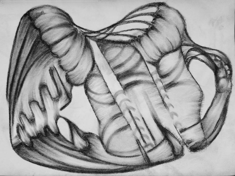 Abstract Form #57 [2024-09-15]