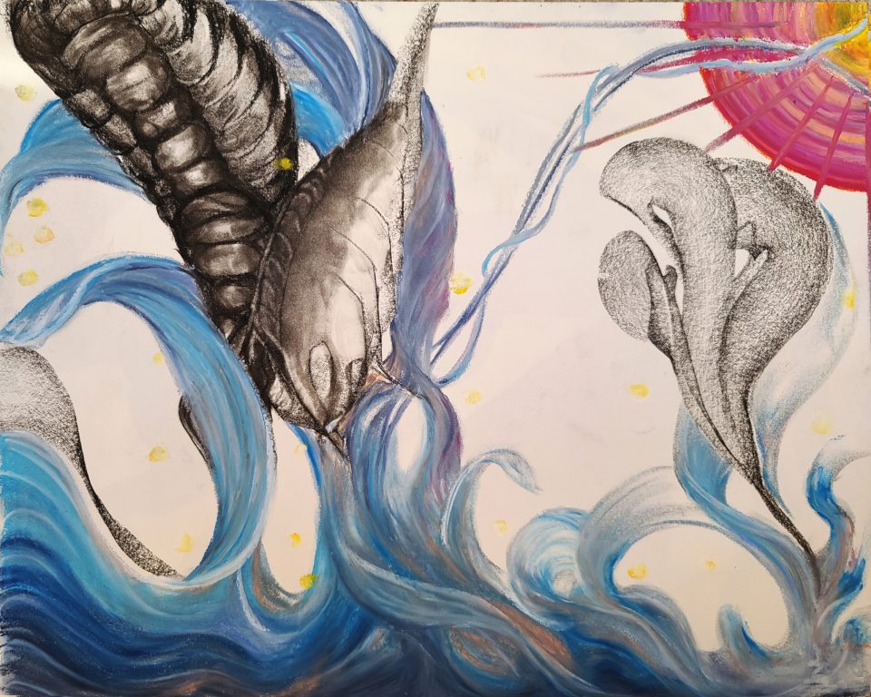 Ocean Life [2024-11-15]