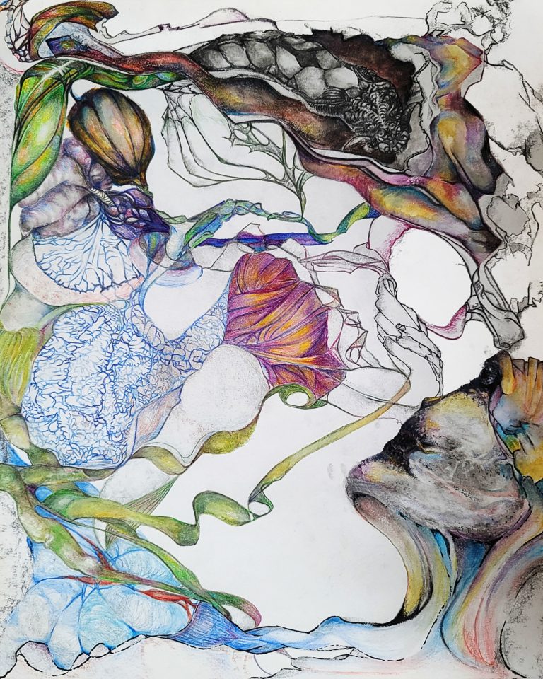 View Of Organic Cosmos [2024-11-15]