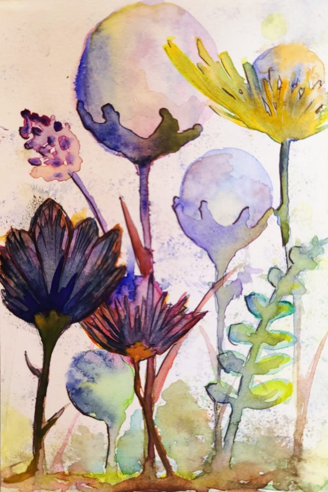 Flowers [2024-11-15]
