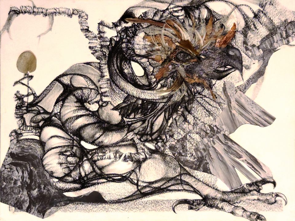 Feathered Raptor [2024-11-15]