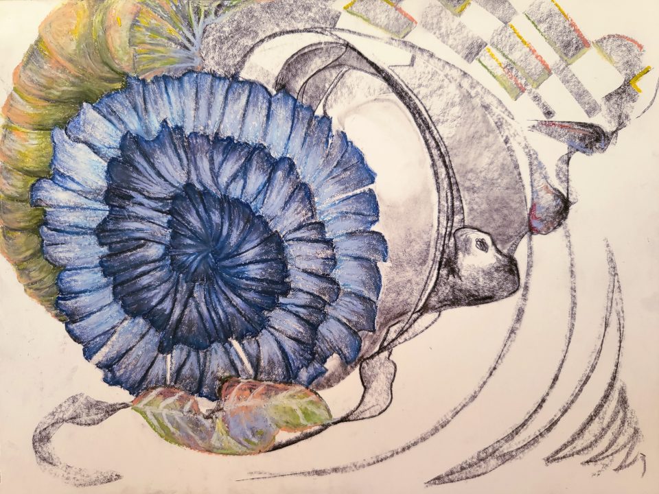 Blue Spiral [2024-11-15]