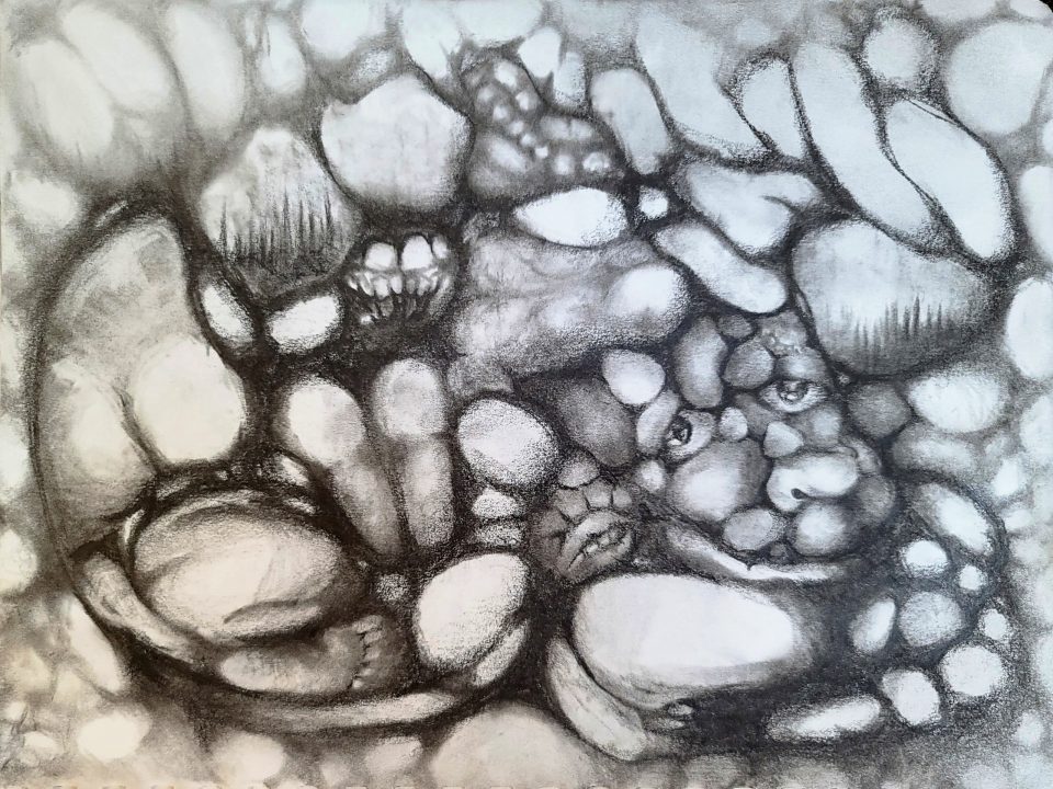 Rock Face [2024-11-15]