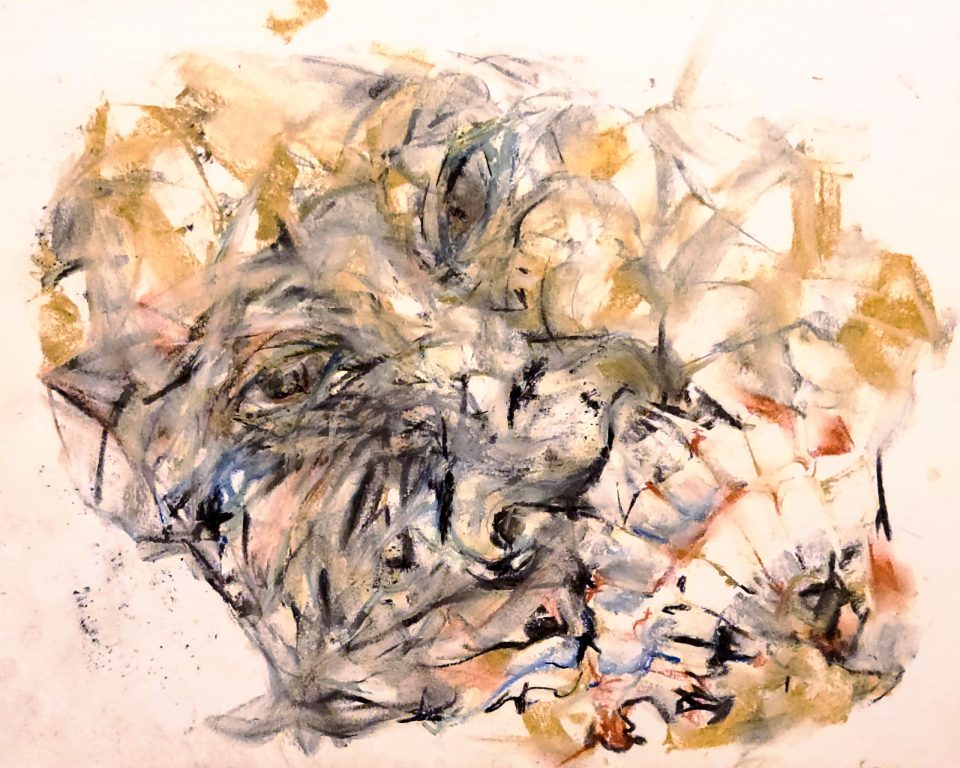 Teeth And Face [2025-01-15]