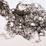 Squinty Eyed Long Necked Woman In Hat Encased In Living Cocoon [2025-02-15]