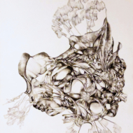 Tribal Man Encased In Living Cocoon [2025-02-15]