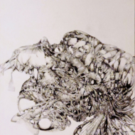 Boy Encased In Living Cocoon [2025-02-15]