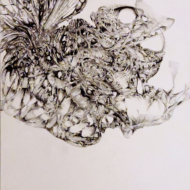 Boy Encased In Living Cocoon [2025-02-15]