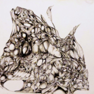 Prehistoric Bird Encased In Living Cocoon [2025-02-15]