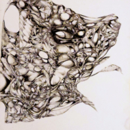 Prehistoric Bird Encased In Living Cocoon [2025-02-15]