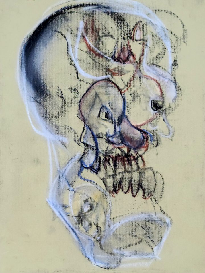 Skully [2025-06-21]
