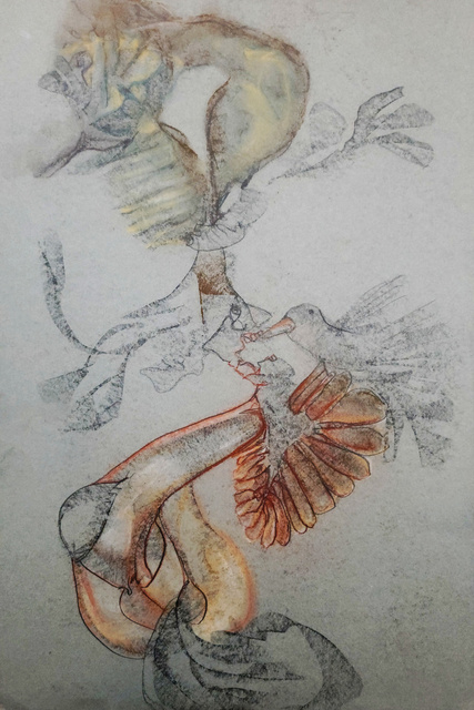 archive-2025 [640] monkey-smoke-vegetation-stack