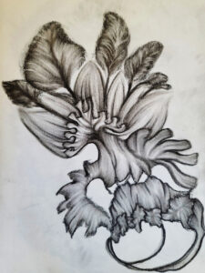 Rare Plant [2024]