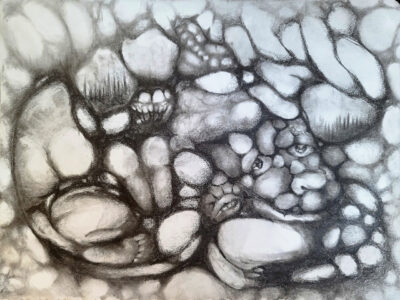 Rock Face [2024]